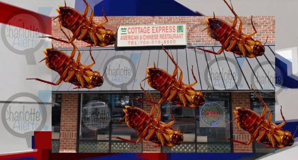COTTAGE EXPRESS CHINESE RESTAURANT GETS SHUT DOWN, SCORES B ON INSPECTION, HAS ROACH INFESTATION