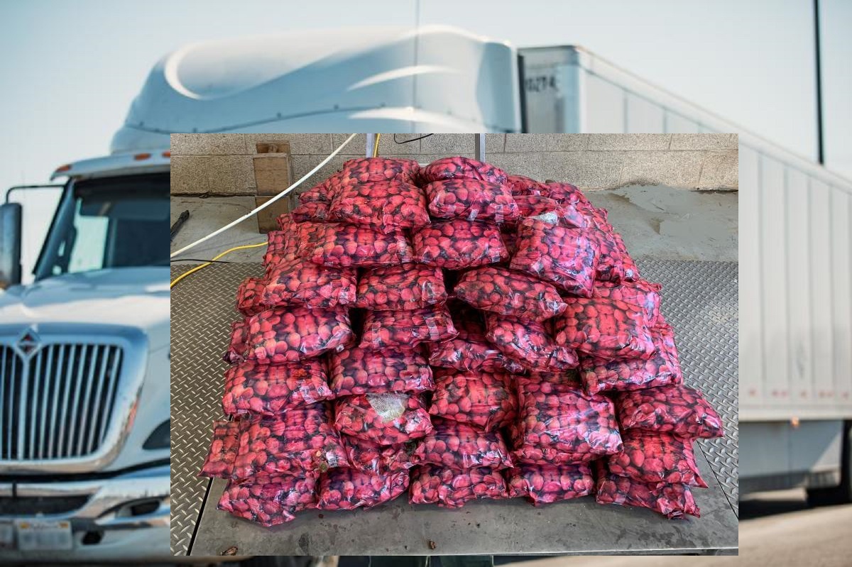 $8 MILLION WORTH OF METH HID IN SHIPMENT OF STRAWBERRIES