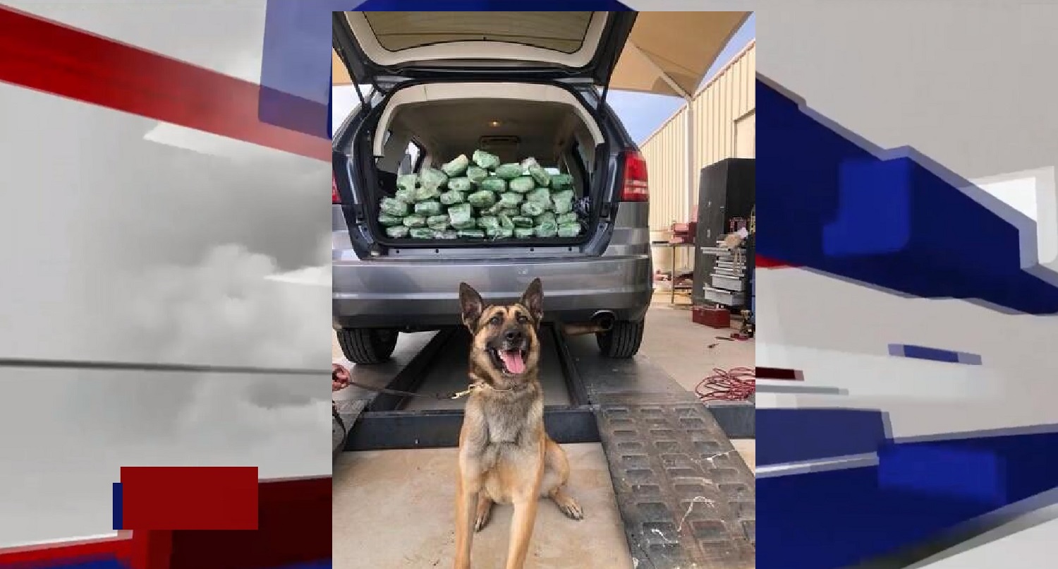 WOMAN HAD HER TRUNK LOADED WITH METHAMPHETAMINE, DOG SNIFFS IT OUT
