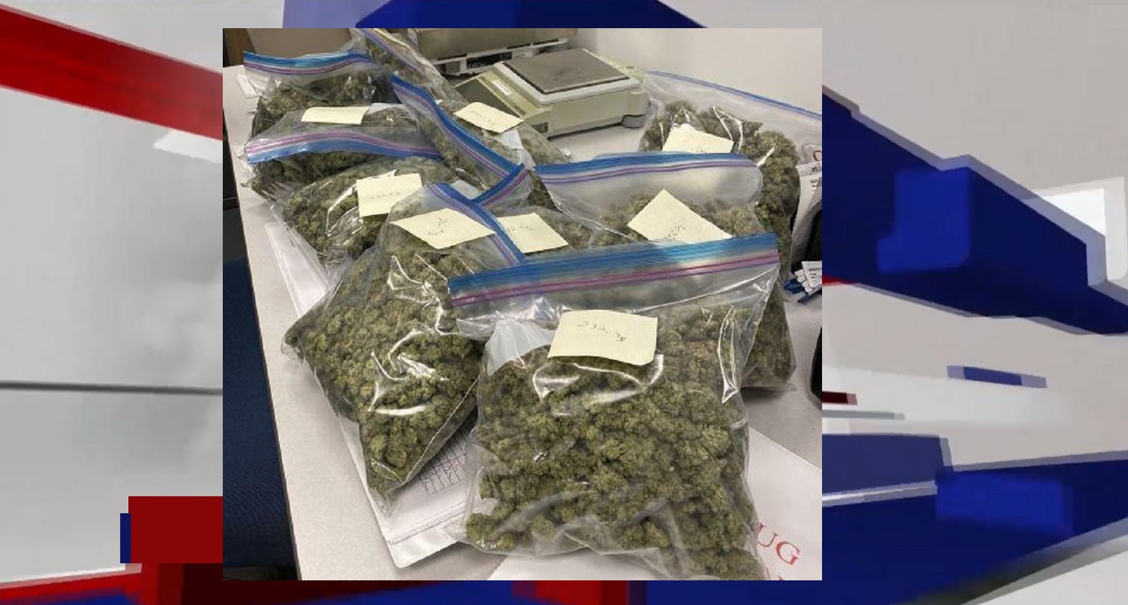 MARIJUANA SEIZED AT NEW YORK PORT OF ENTRY