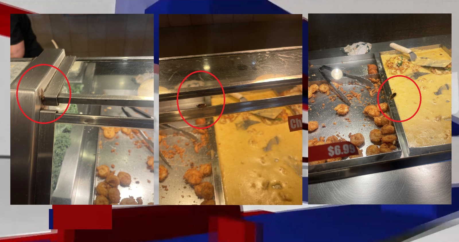 NASTY DISGUSTING ROACHES FOUND AT K&W CAFETERIA IN CONCORD ON MOTHER’S DAY