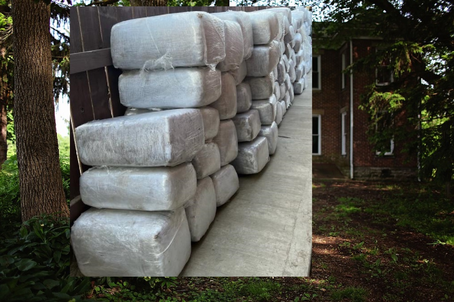 $1.8 MILLION WORTH OF MARIJUANA FOUND IN STASH HOUSE