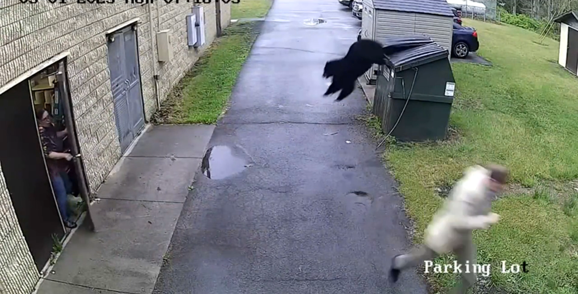VIDEO: BEAR JUMPS OUT OF DUMPSTER AT SCHOOL PRINCIPAL