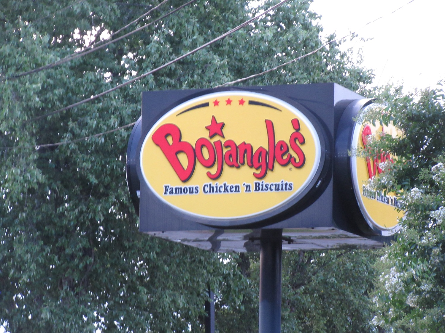BOJANGLES NEAR WEST BLVD. HAD DEAD BROWN BUGS IN KITCHEN