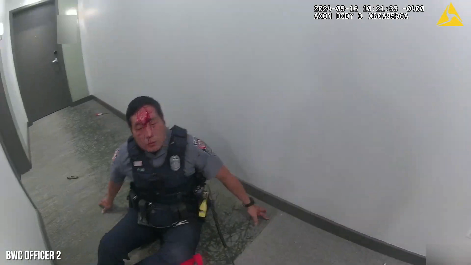 VIDEO: WOMAN KILLED BY POLICE AFTER STABBING COP IN FACE