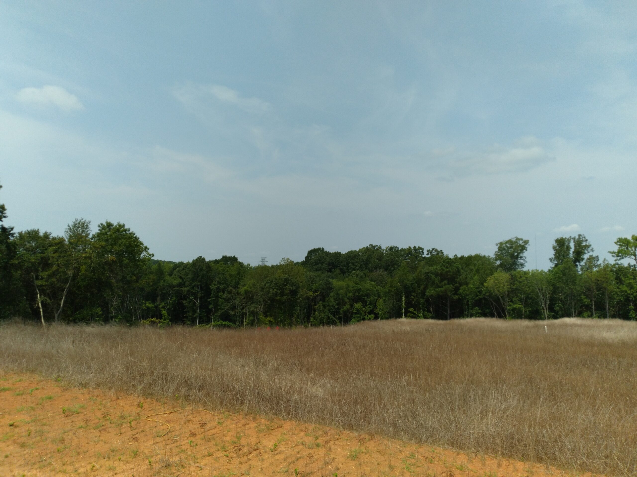 MURDER: PERSON FOUND DEAD ON REA ROAD IN WOODS