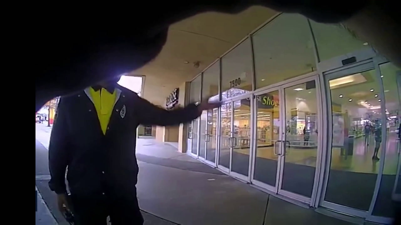 VIDEO: COP MURDERED AT MALL, SUSPECT KILLED TOO