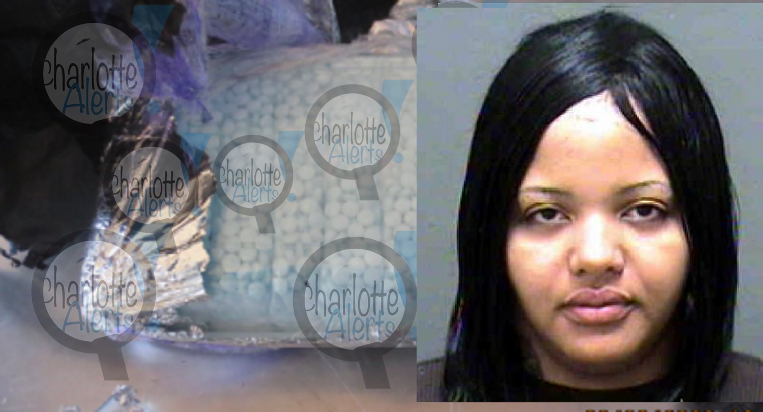 YOUNG MOTHER DIES FROM FENTANYL AND COCAINE TOXICITY IN MOTEL