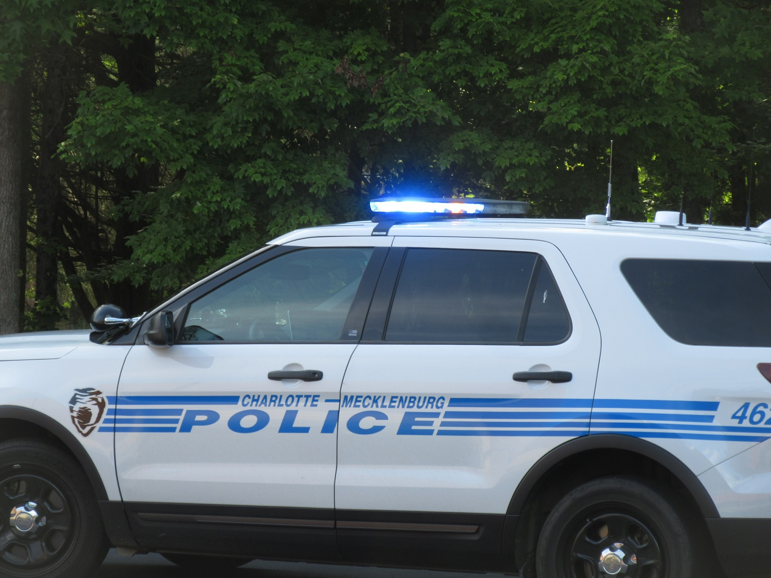 WOMAN STABBED TO DEATH DURING BRUTAL HOMICIDE, 3RD MURDER THIS WEEKEND