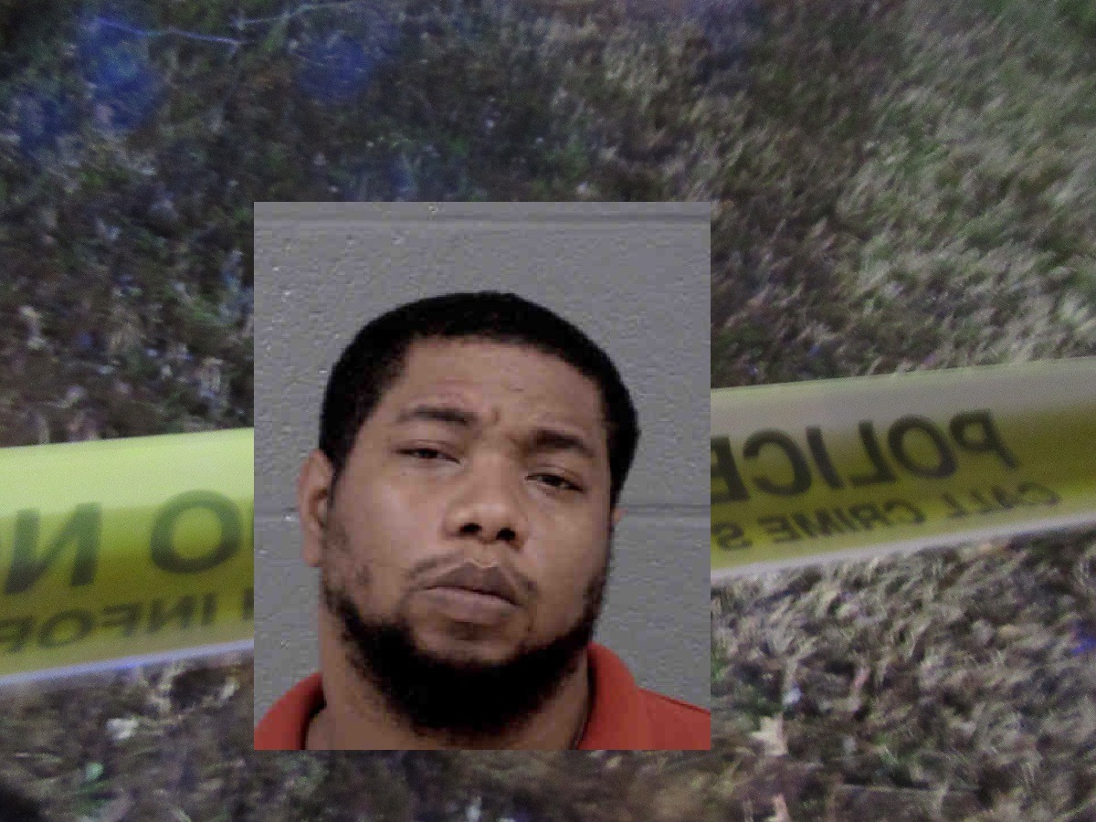 ASIAN MAN AND DOG KILLED BY SPEEDING VEHICLE, SUSPECT ARRESTED