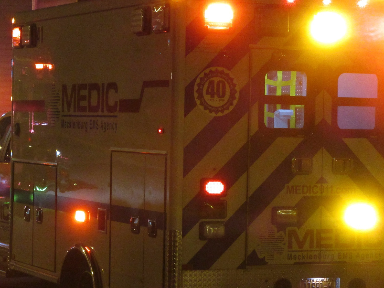 MAN KILLED ON THANKSGIVING DAY DURING WILD SHOOTING