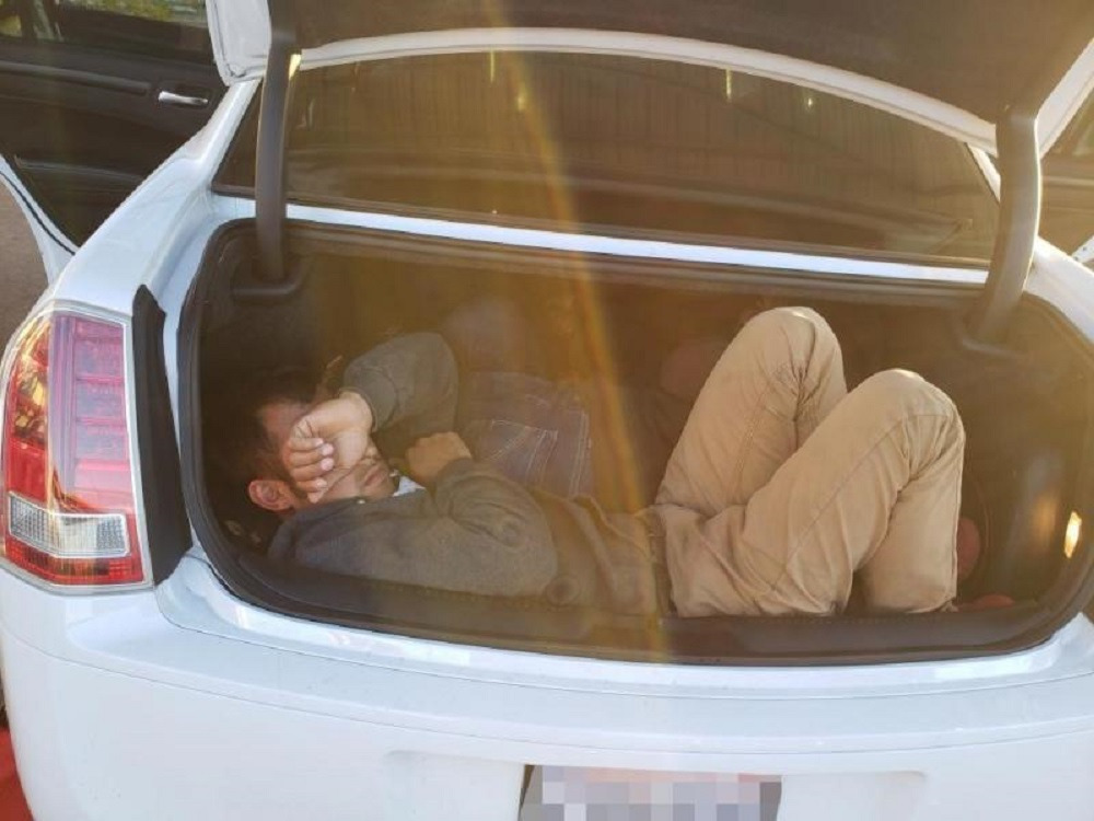 BORDER PATROL DOG SNIFFS OUT 3 ILLEGAL IMMIGRANTS HIDING IN TRUNK OF VEHICLE