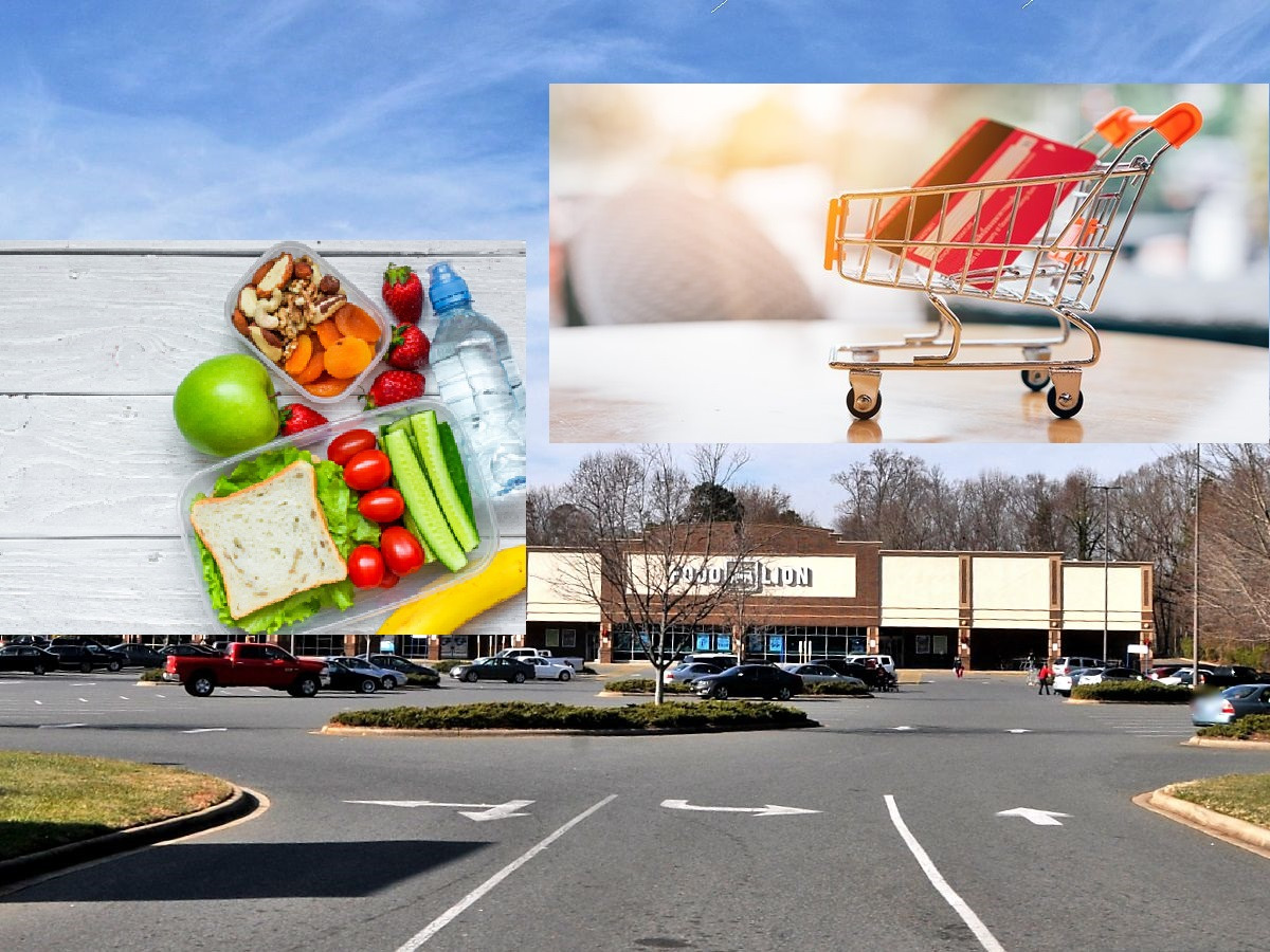 NC FOOD STAMP RECIPIENTS CAN USE EBT CARDS ONLINE AT FOOD LION VIA INSTACART