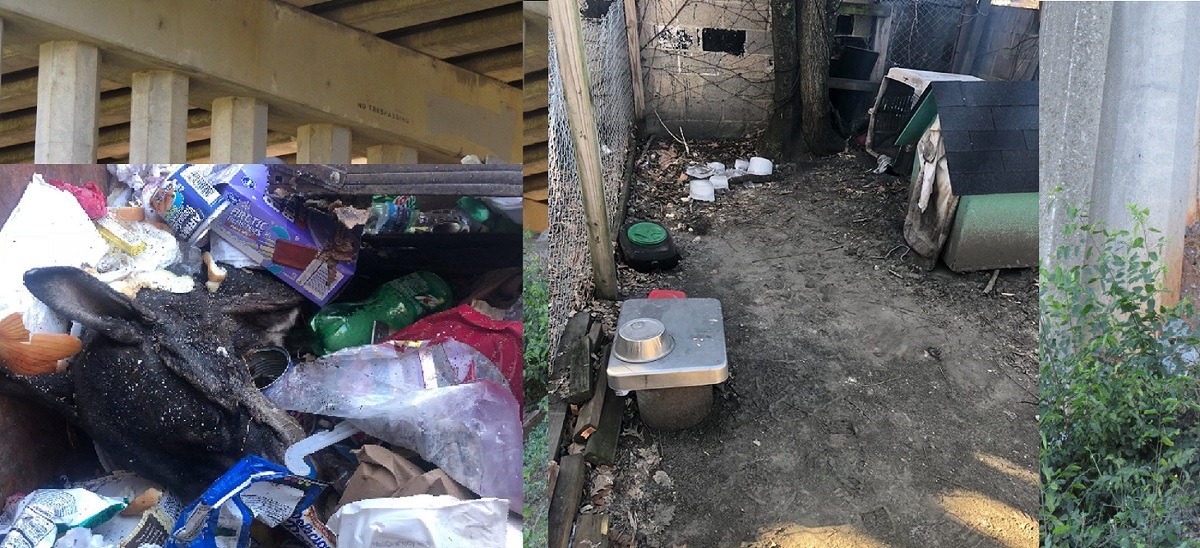 DOG FROZE TO DEATH FROM FRIGID TEMPERATURES AND DUMPED IN TRASH