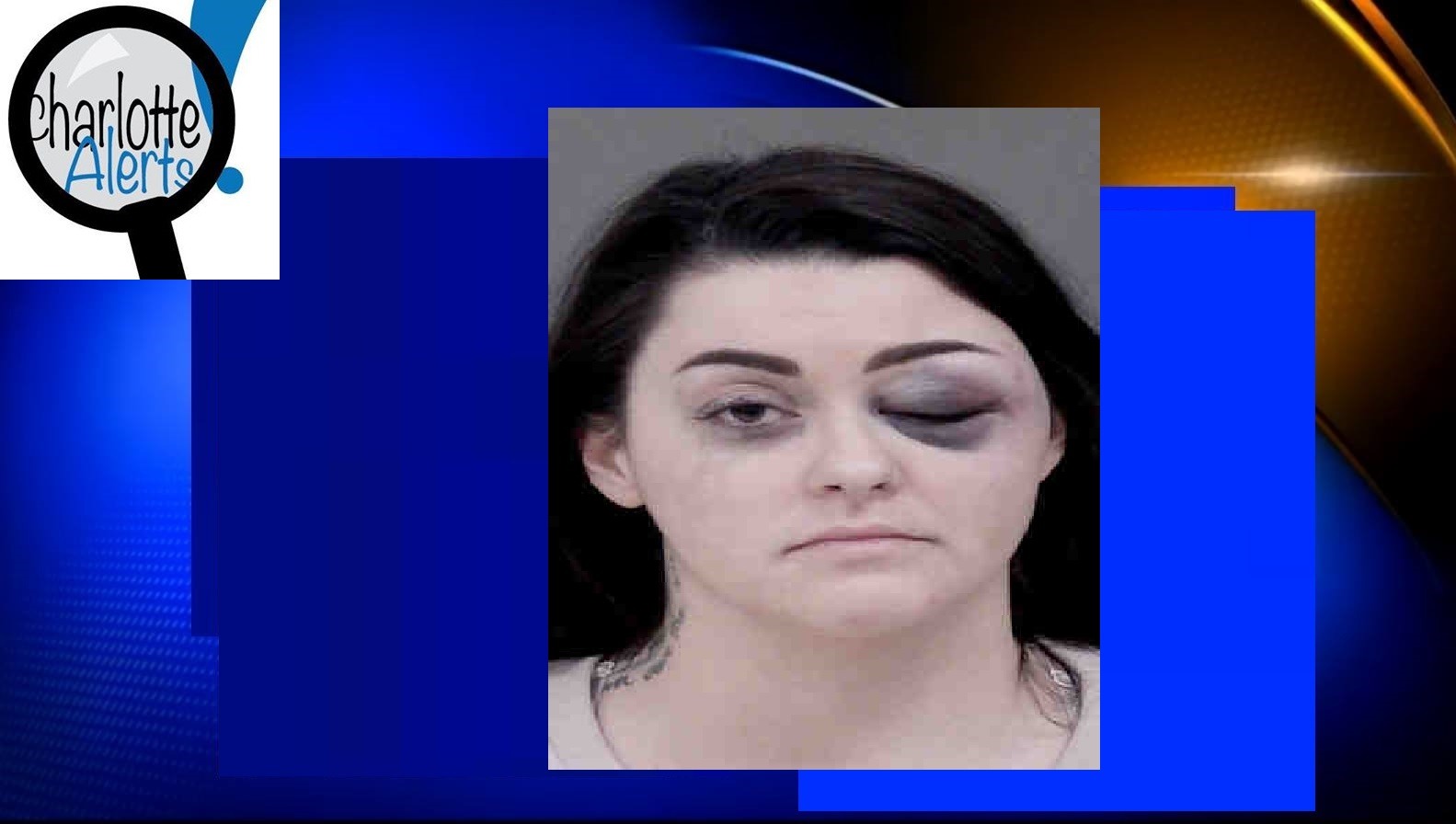 DRUNK WOMAN ASSAULTS POLICE, HAS BAD NIGHT