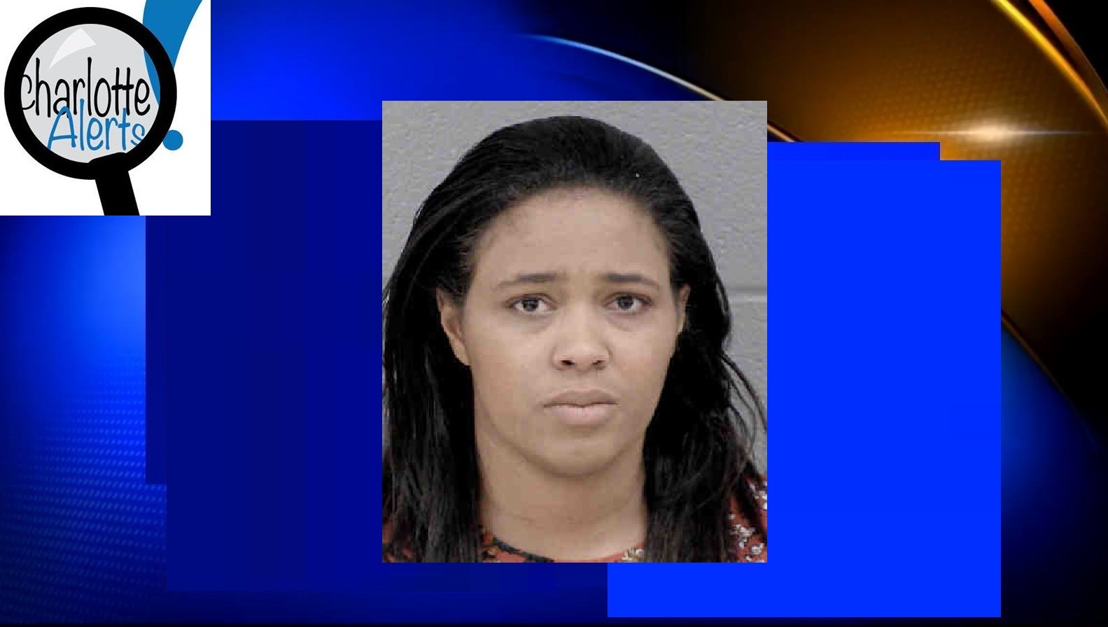 WOMAN ARRESTED ACCUSED OF STEALING $90,000 FROM HOME OWNERS ASSOCIATION COMPANY