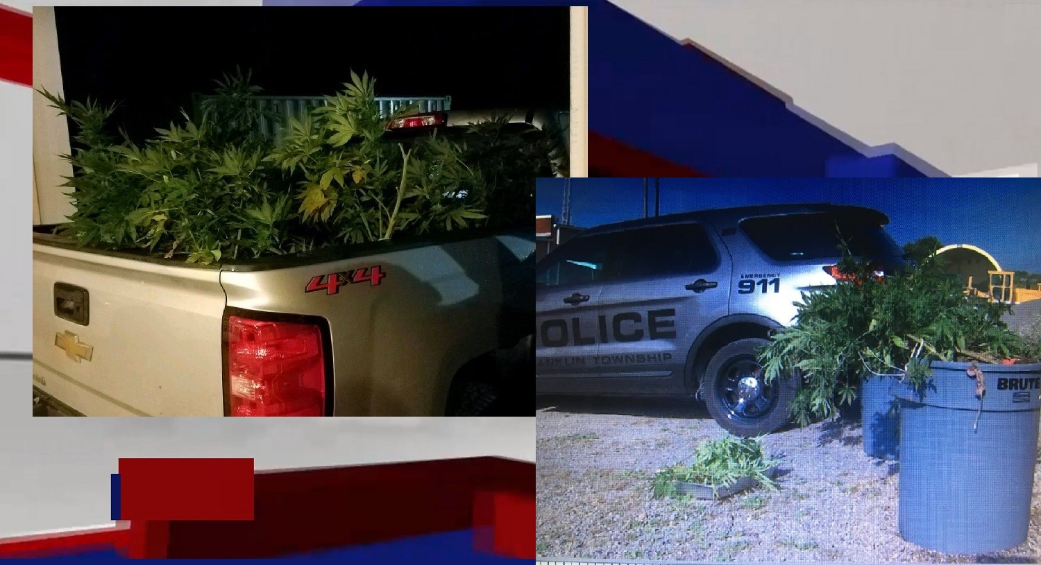 TRUCK LOADS OF MARIJUANA FOUND IN SWIMMING POOL