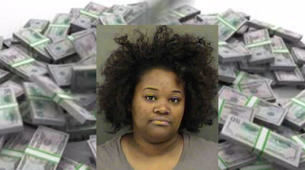 OWNER OF TAX RETURN BUSINESS MADE $300,000 BY FILING FALSE INCOME TAX RETURNS