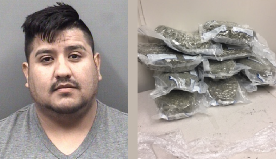 ILLEGAL IMMIGRANT CAUGHT WITH 11 POUNDS OF HIGH GRADE MARIJUANA