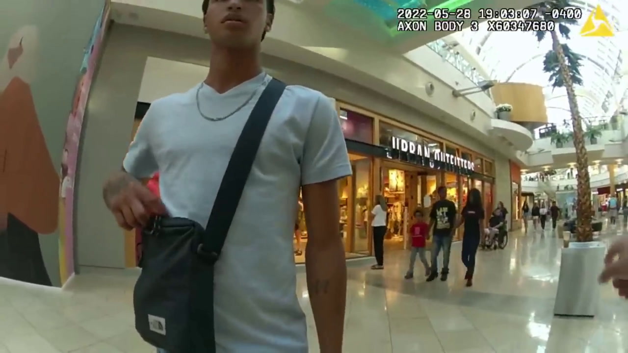 VIDEO: MALL SHOOTING SPILLS INTO OLIVE GARDEN RESTAURANT, MAN KILLED