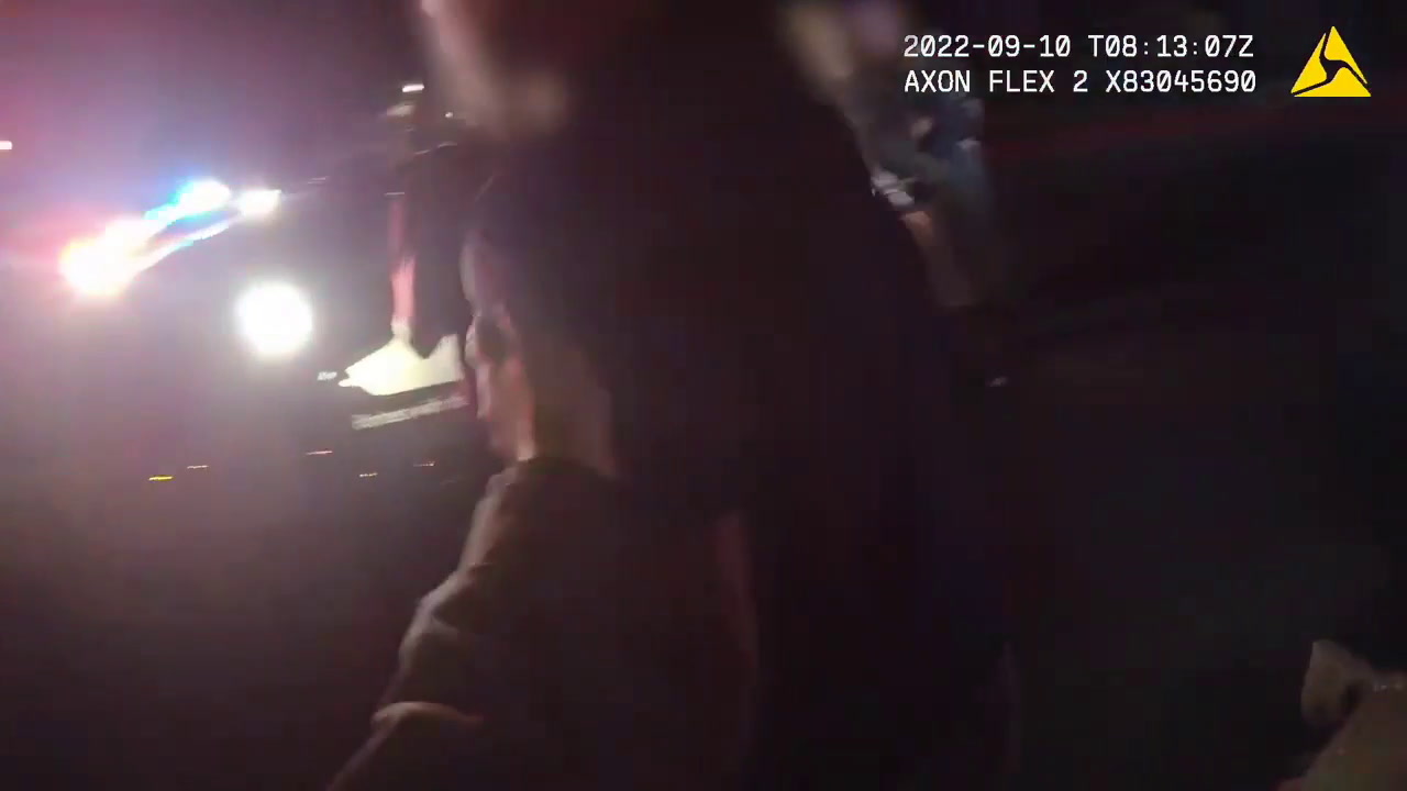 VIDEO: FEMALE COP GETS SHOT DURING TRAFFIC STOP