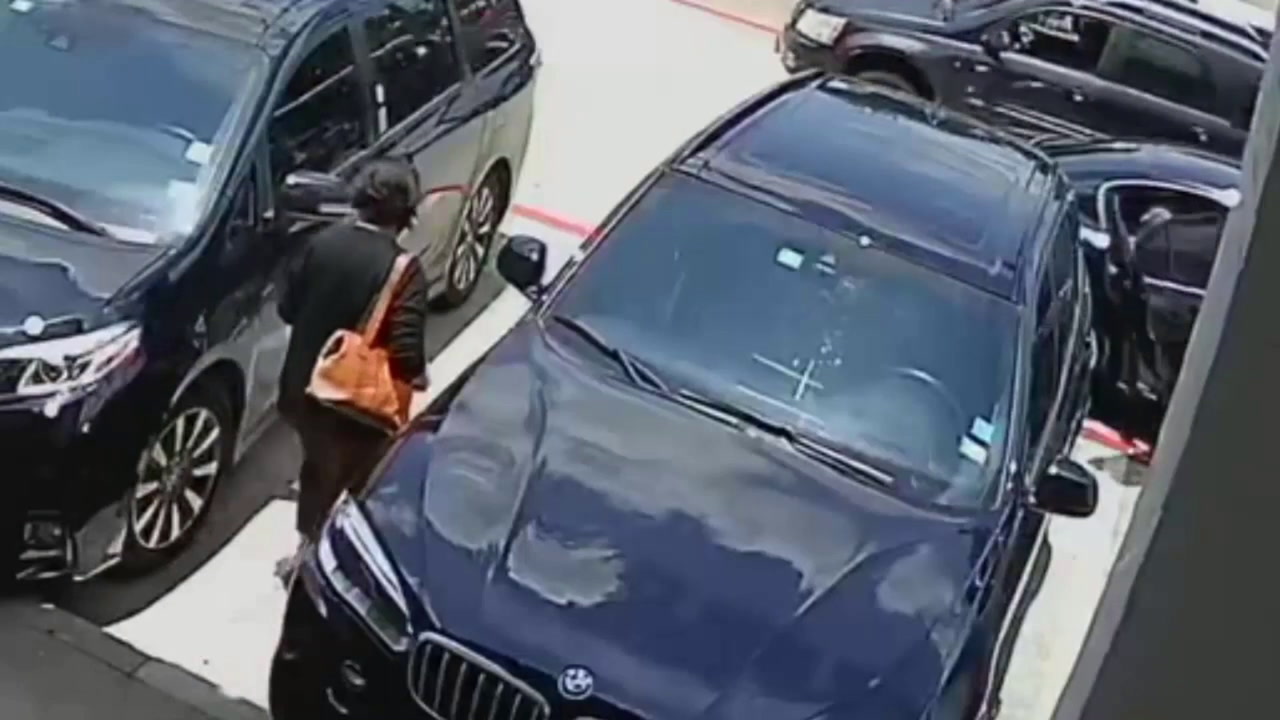 VIDEO: ELDERLY WOMAN ROBBED IN BROAD DAYLIGHT