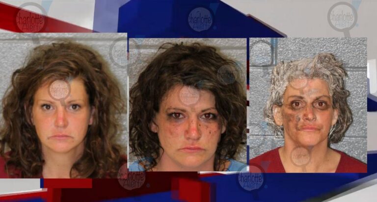 prostitute killed charlotte alerts news