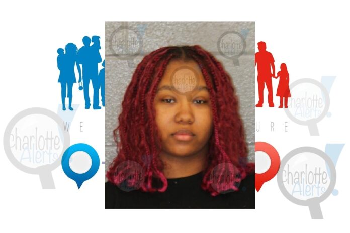 MOTHER ACCUSED OF PUTTING KNIFE TO NECK OF DSS WORKER OVER CHILD CUSTODY ISSUE