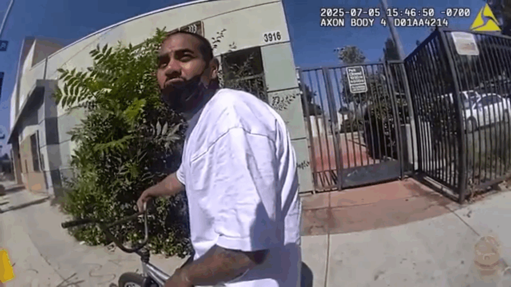 VIDEO COP SHOT IN FACE