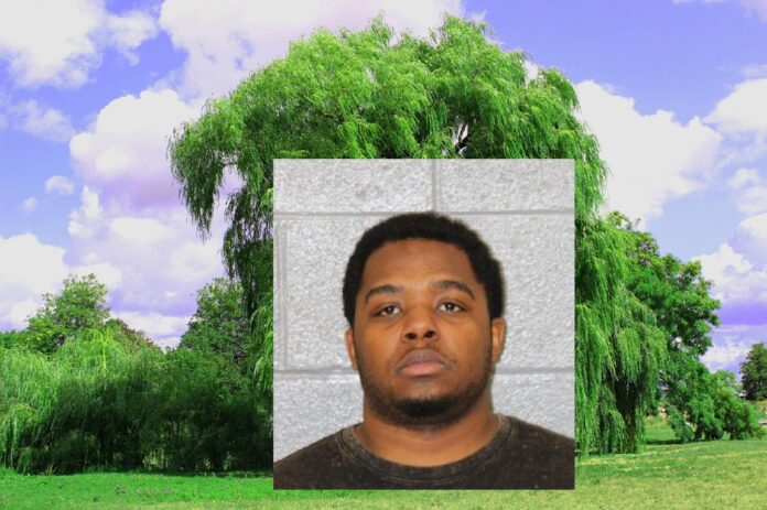 MAN FOUND DEAD HANGING FROM TREE, DIES BY SUICIDE BEHIND BUSINESS PARK