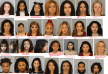 pretty in jail charlotte alerts news