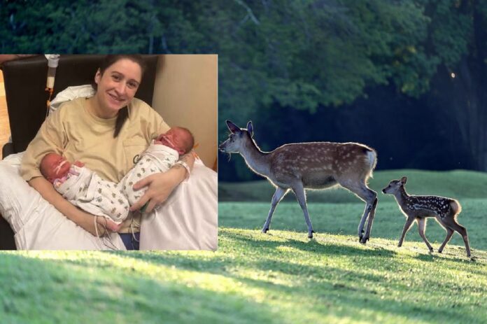 MOTHER OF NEWLY BORN TWINS DIES IN CAR CRASH COLLISION WITH DEER
