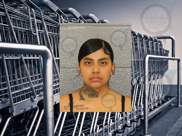 WOMAN ACCUSED OF STEALING TOOTHPASTE FROM TARGET IN EAST CHARLOTTE