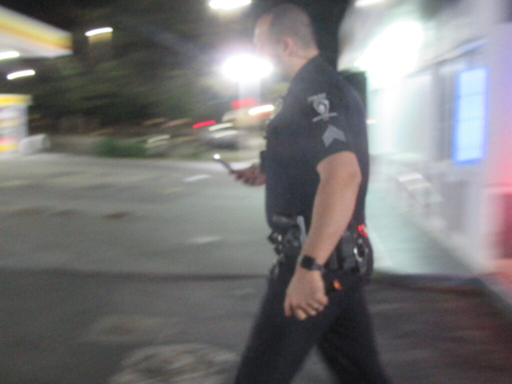 CHRISTMAS TIME MURDER