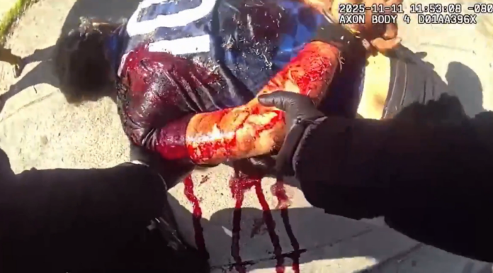 VIDEO: COPS KILL MAN SWINGING CHAIN ON STREET