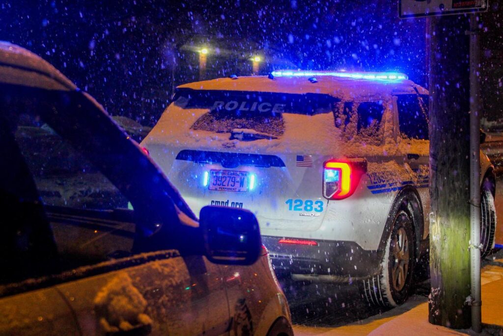 MURDERED IN THE SNOW