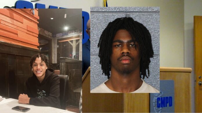 TEENAGER PLEADS GUILTY TO MURDERING TEEN MODEL