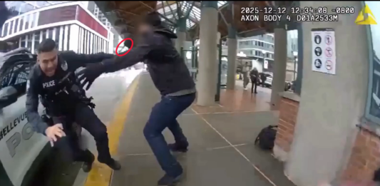 VIDEO: MAN STABS COP