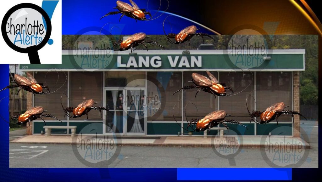 ROACHES AT LANG VAN RESTAURANT DURING HEALTH INSPECTION