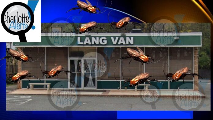 ROACHES AT LANG VAN RESTAURANT DURING HEALTH INSPECTION