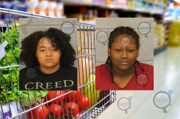 WOMAN ROBBED AT FOOD LION GROCERY STORE ALLEGEDLY BY 2 FEMALE SUSPECTS