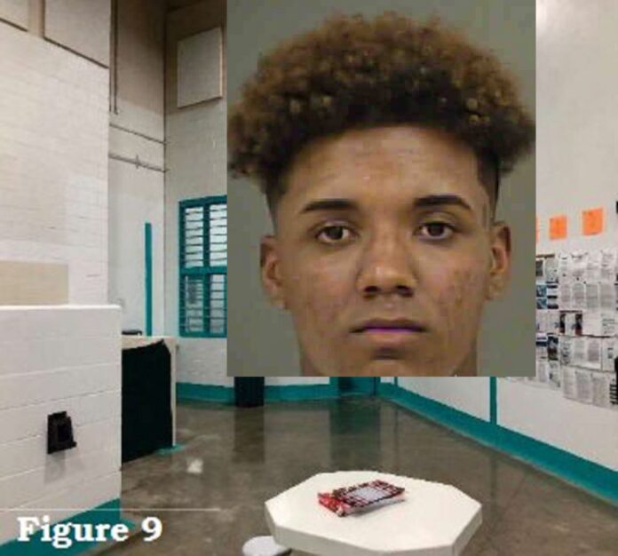SUSPECT PLEADS GUILTY TO MURDER
