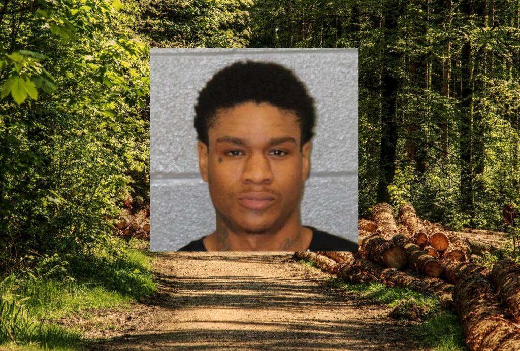 dead in woods charlotte alerts news