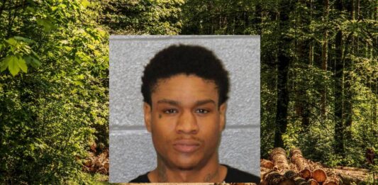 dead in woods charlotte alerts news