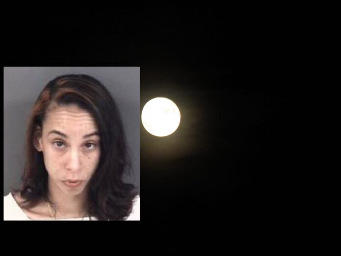 MOM KILLED IN CRASH WHILE DRIVING DODGE CHARGER ON HIGHWAY