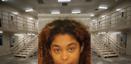 family dollar arrest charlotte alerts news