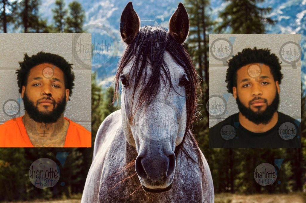 twin brothers arrest horse hit by car
