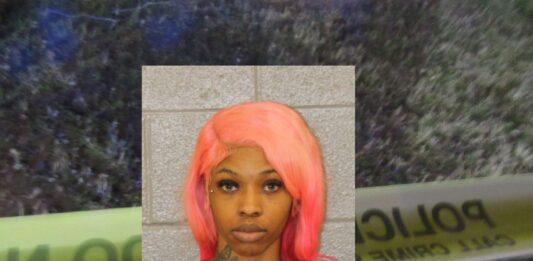 family dollar employee steal