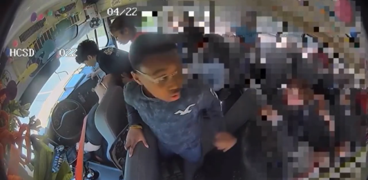 video bus driver unconscious