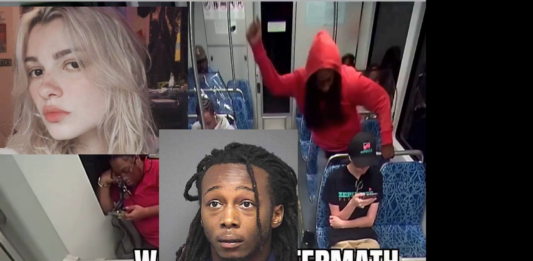 video Iryna Zarutska murder train charlotte alerts news